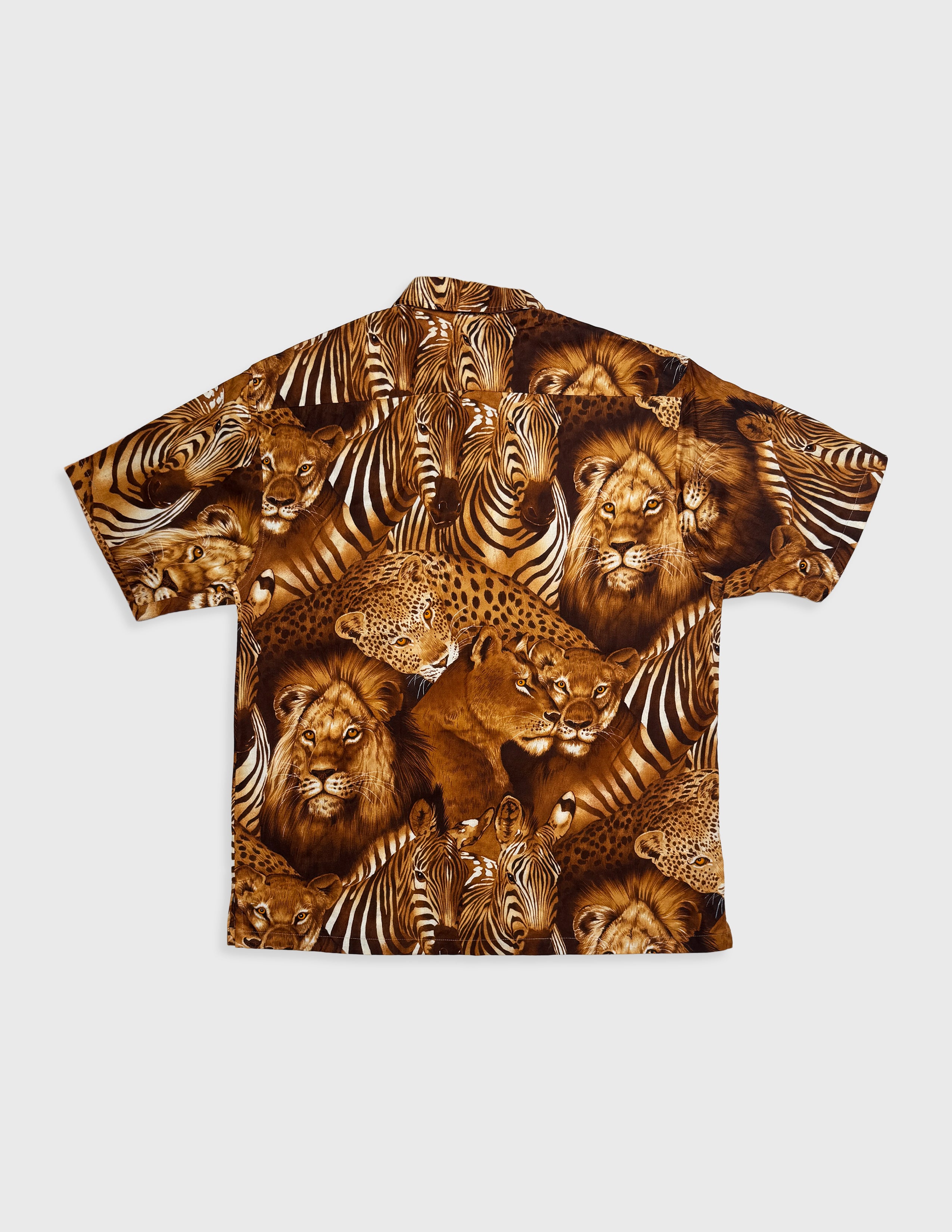 Safari